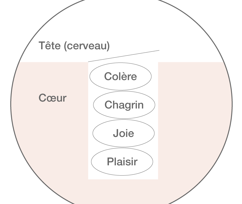 Le puits des émotions