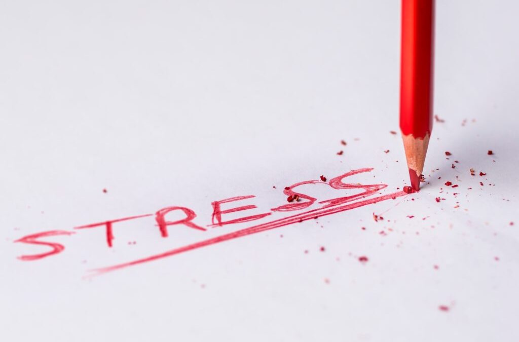 Le cortisol et la fatigue surrénalienne…