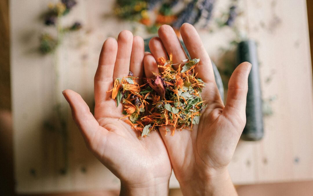 Le vitalisme en naturopathie…
