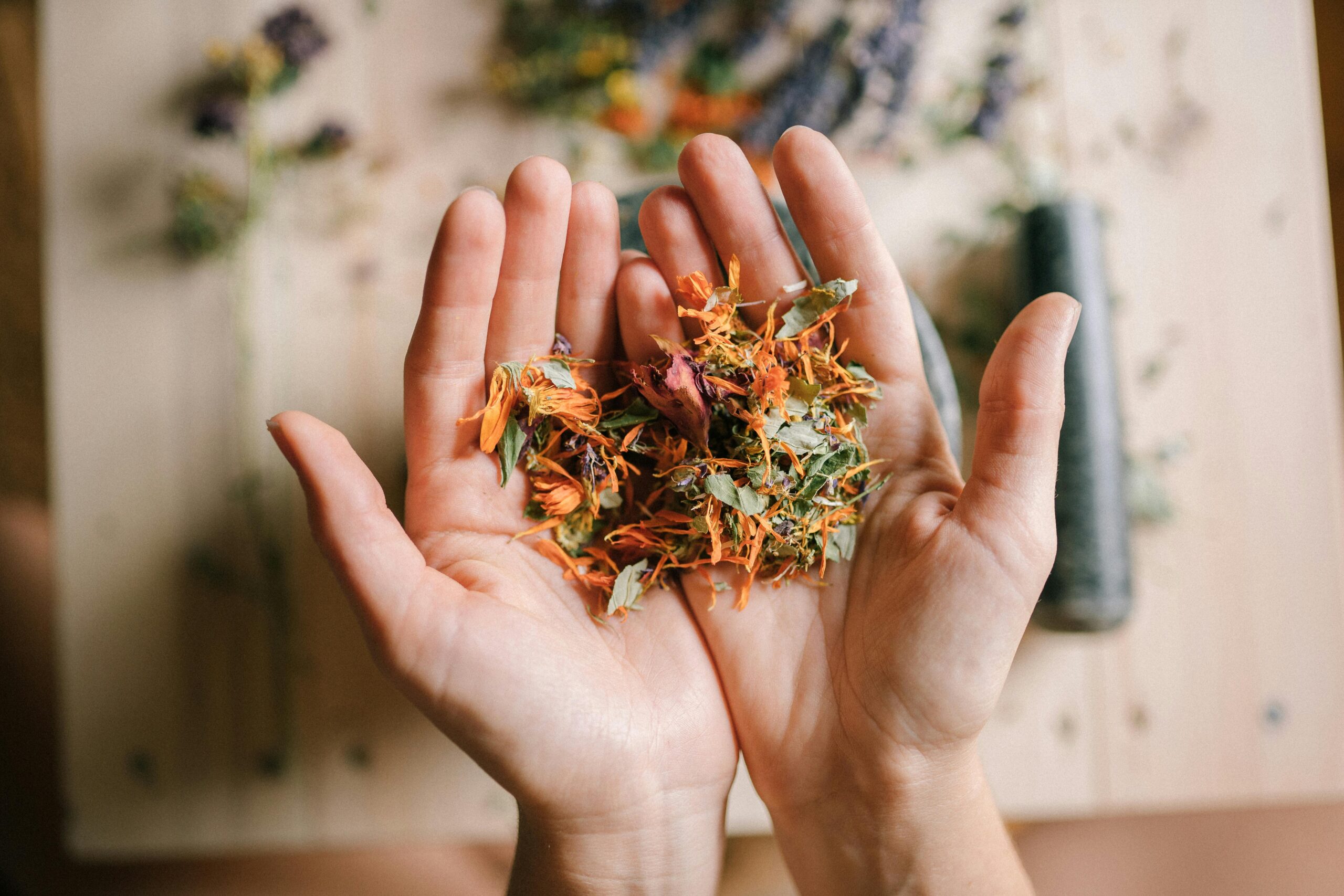 naturopathe angers